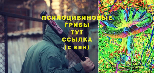 PSILOCYBIN Бородино