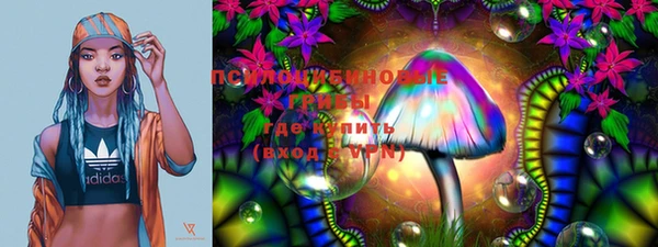 PSILOCYBIN Бородино